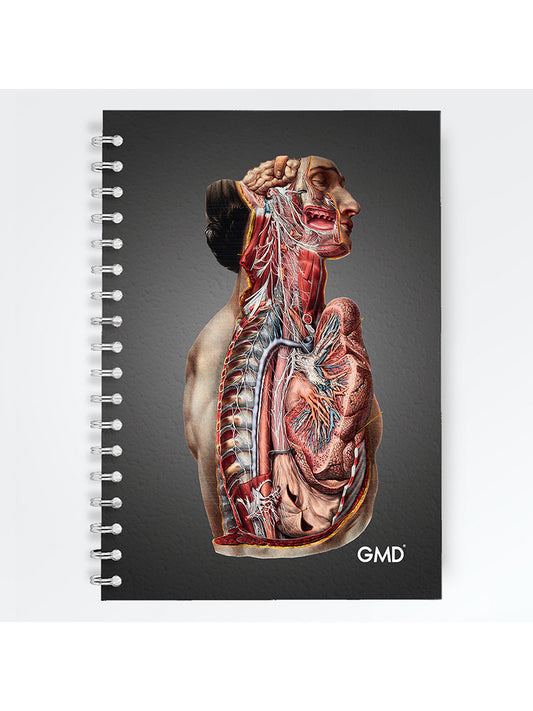 Cuaderno Argollado Todos los diseños